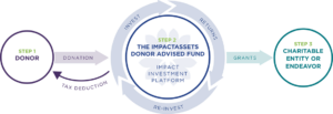 Donor Advised Fund Impactassets